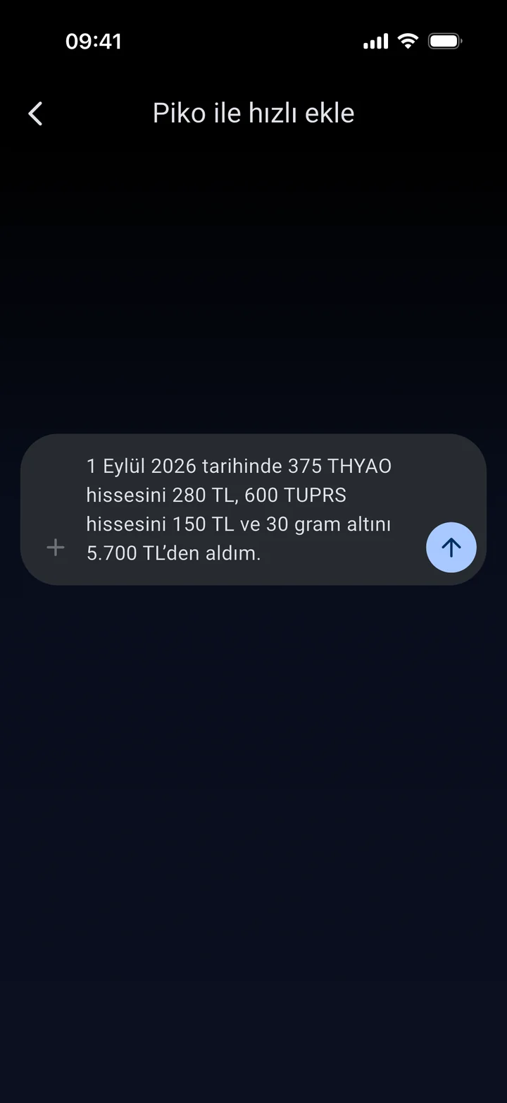 Piko ile doğal dilde işlem yazma ekranı